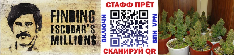 Купить наркотики сайты Кумертау Кокаин  Мефедрон  MDMA  Марихуана  Гашиш  А ПВП 