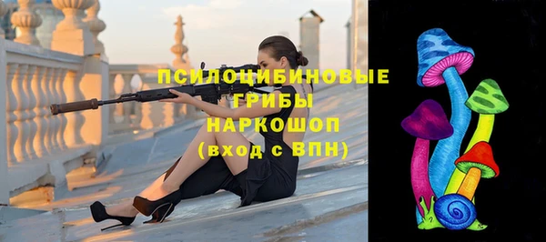 винт Абаза