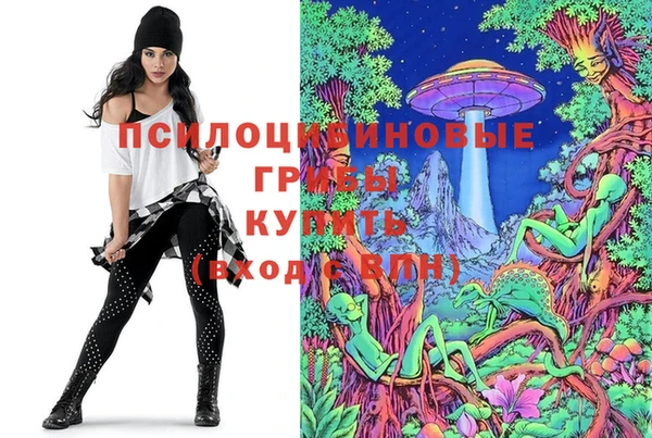 тгк Алексеевка