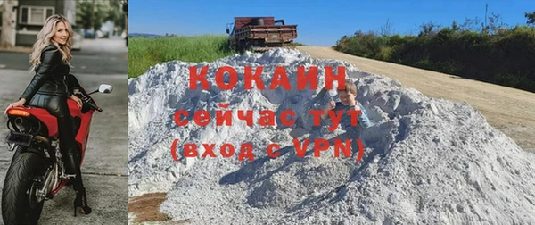 винт Абаза