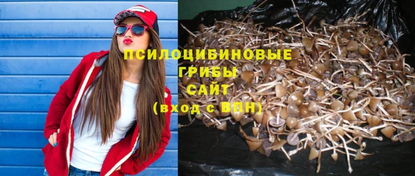 винт Абаза