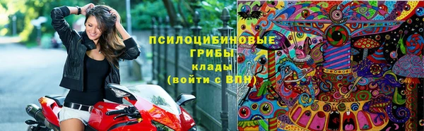 тгк Алексеевка